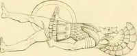 Picture 67 of 364 from Costume of the ancients (1812), leaf 168
