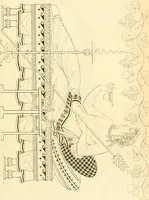 Picture 121 of 364 from Costume of the ancients (1812), leaf 256