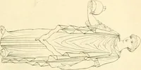 An illustration from Costume of the ancients (1812)