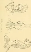 Picture 162 of 364 from Costume of the ancients (1812), leaf 336