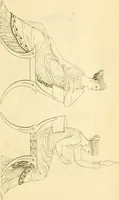 An illustration from Costume of the ancients (1812)
