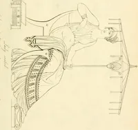 Picture 169 of 364 from Costume of the ancients (1812), leaf 360