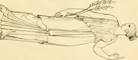 An illustration from Costume of the ancients (1812)