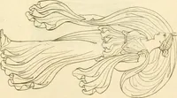 An illustration from Costume of the ancients (1812)