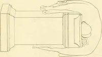 Picture 319 of 364 from Costume of the ancients (1812), leaf 622
