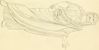 An illustration from Costume of the ancients (1812)