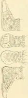 Picture 350 of 364 from Costume of the ancients (1812), leaf 664