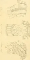 Picture 353 of 364 from Costume of the ancients (1812), leaf 670