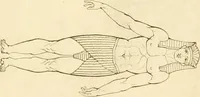 Picture 1 of 364 from Costume of the ancients (1812), leaf 78