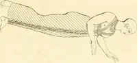 Picture 3 of 364 from Costume of the ancients (1812), leaf 82