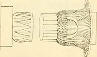 An illustration from Costume of the ancients (1812)