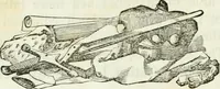An illustration from Costumes of Europe: with descriptions of the people, manners, and customs (1852)