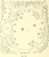 An illustration from Cottage residences; or, A series of designs for rural cottages and cottage villas, and their gardens and grounds (1873)