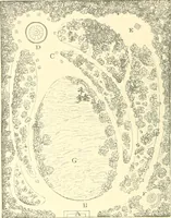 An illustration from Cottage residences; or, A series of designs for rural cottages and cottage villas, and their gardens and grounds (1873)