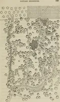 An illustration from Cottage residences : or, A series of designs for rural cottages and cottage villas, and their gardens and grounds. Adapted to North America (1847)