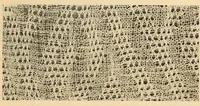 An illustration from Cotton (1900)