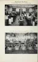 Picture 1 of 7 from The cotton colours of the Cassella Color Company, New York (1913), leaf 4