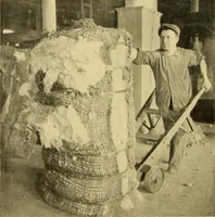 Picture 3 of 33 from Cotton and cotton manufacture (1921), leaf 23