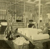 An illustration from Cotton and cotton manufacture (1921)