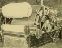 An illustration from Cotton and cotton manufacture (1921)