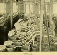An illustration from Cotton and cotton manufacture (1921)