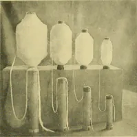 An illustration from Cotton and cotton manufacture (1921)