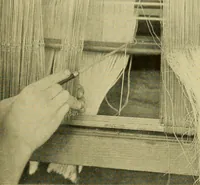 An illustration from Cotton and cotton manufacture (1921)