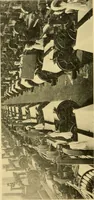 An illustration from Cotton and cotton manufacture (1921)