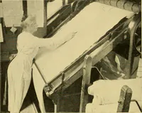 An illustration from Cotton and cotton manufacture (1921)