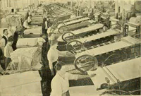 An illustration from Cotton and cotton manufacture (1921)