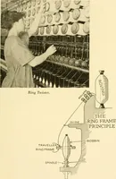 Picture 12 of 33 from Cotton and cotton manufacture (1921), leaf 34
