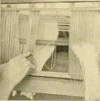 An illustration from Cotton and cotton manufacture (1921)