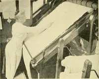 An illustration from Cotton and cotton manufacture (1921)