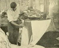 An illustration from Cotton and cotton manufacture (1921)