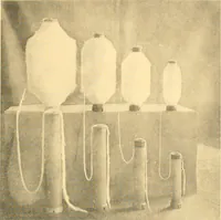 An illustration from Cotton and cotton manufacture (1921)