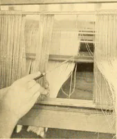 An illustration from Cotton and cotton manufacture (1921)