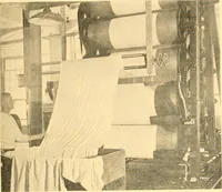 Picture 32 of 37 from Cotton and cotton manufacture (1921), leaf 52