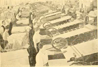 An illustration from Cotton and cotton manufacture (1921)
