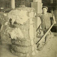 Picture 3 of 34 from Cotton and cotton manufacture (1921), leaf 23