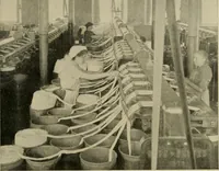 An illustration from Cotton and cotton manufacture (1921)