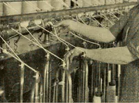 An illustration from Cotton and cotton manufacture (1921)