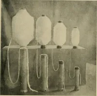 An illustration from Cotton and cotton manufacture (1921)