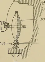 An illustration from Cotton and cotton manufacture (1921)