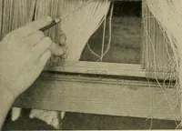 Picture 19 of 34 from Cotton and cotton manufacture (1921), leaf 40