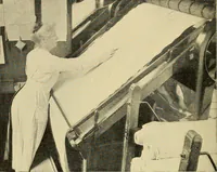 An illustration from Cotton and cotton manufacture (1921)