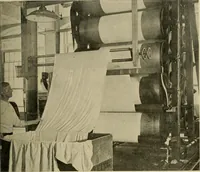 An illustration from Cotton and cotton manufacture (1921)