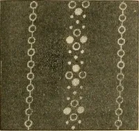 An illustration from A cotton fabrics glossary; containing instructions for the manufacture of every known grade and variety of cotton fabrics .. (1907)