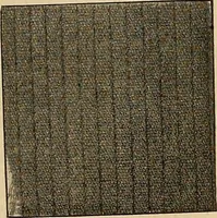 An illustration from A cotton fabrics glossary; containing instructions for the manufacture of every known grade and variety of cotton fabrics .. (1907)