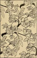 An illustration from A cotton fabrics glossary; containing instructions for the manufacture of every known grade and variety of cotton fabrics .. (1907)