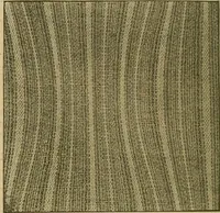 Picture 39 of 57 from A cotton fabrics glossary; containing instructions for the manufacture of every known grade and variety of cotton fabrics .. (1907), leaf 227